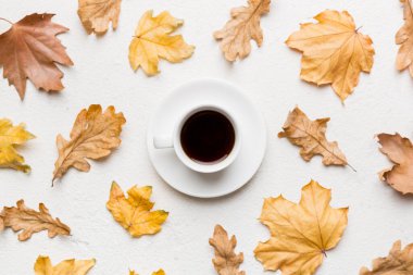 Renkli sonbahar kahve fincanı ve renkli yapraklarla bezenmiş düz bir kompozisyon. en üstteki görünüm.