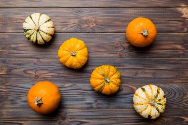 Renkli masa arkasında küçük turuncu balkabaklarının sonbahar kompozisyonu. Sonbahar, Cadılar Bayramı ve Şükran Günü konsepti. Sonbahar düz fotoğraf çekimi. Üst görünüm vith kopyalama alanı.