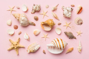 Yaz mevsimi konsepti deniz yıldızları ve deniz kabukları ile bezenmiş düz bir kompozisyon, renkli masa, üst görünüm.