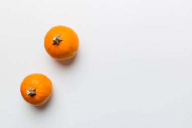 Renkli masa arkasında küçük turuncu balkabaklarının sonbahar kompozisyonu. Sonbahar, Cadılar Bayramı ve Şükran Günü konsepti. Sonbahar düz fotoğraf çekimi. Üst görünüm vith kopyalama alanı.