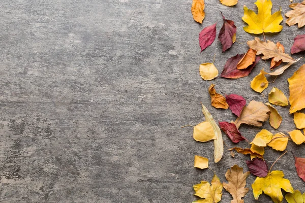 Composición Otoño Patrón Hecho Hojas Secas Otros Accesorios Diseño Mesa — Foto de Stock