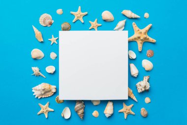Yaz mevsimi konsepti, boş tebrik kartı ve renkli arkaplan üzerine boş beyaz kağıt. Çerçeve şeklinde deniz kabukları metin üstü görünümü için boşluk ile ayrılmış.