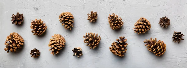 Christmas pine cones on colored paper border composition. Christmas, New Year, winter concept. Flat lay, top view, copy space.