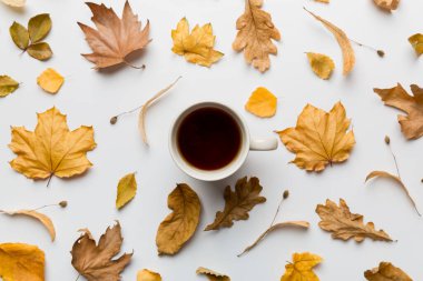 Renkli sonbahar kahve fincanı ve renkli yapraklarla bezenmiş düz bir kompozisyon. en üstteki görünüm.