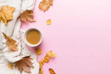 Sonbahar yapraklı bir fincan kakao soyut natürmort yaşam üst görünüm kopyalama alanı.