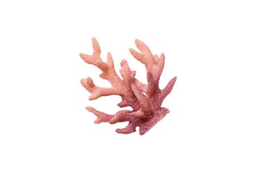 Pembe dekoratif mercan beyaz arka planda izole edilmiş. perspektif görünümü.
