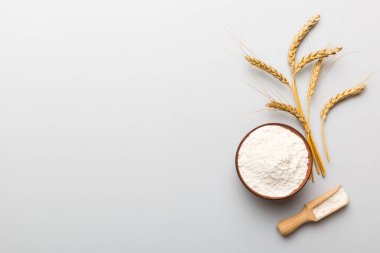 Tahta kasede buğday unu ve renkli arka planda buğday dikenleri. dünya buğday krizi.