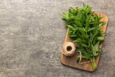 Renkli masada taze nane tomarı. Kopyalama alanı olan üst görünüm.