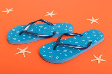 Plaj aksesuarları. Renkli arka planda parmak arası terlik ve denizyıldızı. Üst görünüm Kopyalama alanı ile modelle.