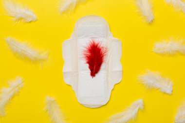 Kan regl döneminde hijyen için büyük bir regl pedi. Regl pedi, kırmızı tüy, hijyen koruması. Tıbbi kadın konsepti kritik günler ve adet görme.