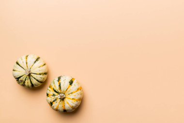 Renkli masa arkasında küçük turuncu balkabaklarının sonbahar kompozisyonu. Sonbahar, Cadılar Bayramı ve Şükran Günü konsepti. Sonbahar düz fotoğraf çekimi. Üst görünüm vith kopyalama alanı.