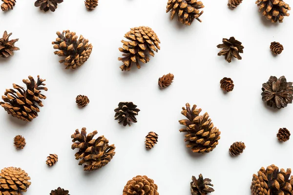 Pine Cones Colored Table Natural Holiday Background Pinecones Grouped Together — Stock Photo, Image