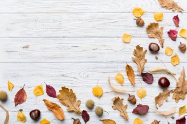 Sonbahar kompozisyonu. Masadaki kurumuş yapraklar ve diğer tasarım aksesuarlarından oluşan desen. Düz yatış, üst görünüm.