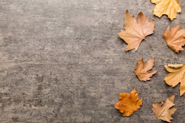 Sonbahar kompozisyonu. Masadaki kurumuş yapraklar ve diğer tasarım aksesuarlarından oluşan desen. Düz yatış, üst görünüm.