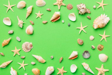 Yaz zamanı konsepti düz kompozisyon ile güzel deniz yıldızları ve deniz kabukları renkli tablo üzerinde yatıyordu, metin için metin alanı ile üst görünüm.