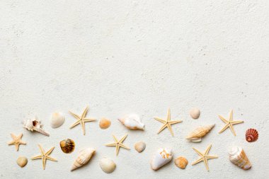 Yaz zamanı konsepti düz kompozisyon ile güzel deniz yıldızları ve deniz kabukları renkli tablo üzerinde yatıyordu, metin için metin alanı ile üst görünüm.