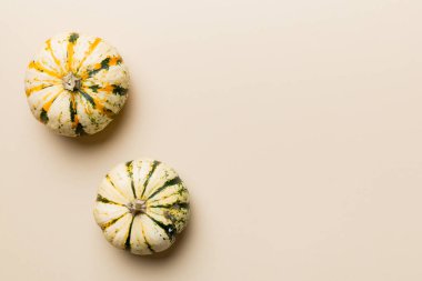 Renkli masa arkasında küçük turuncu balkabaklarının sonbahar kompozisyonu. Sonbahar, Cadılar Bayramı ve Şükran Günü konsepti. Sonbahar düz fotoğraf çekimi. Üst görünüm vith kopyalama alanı.