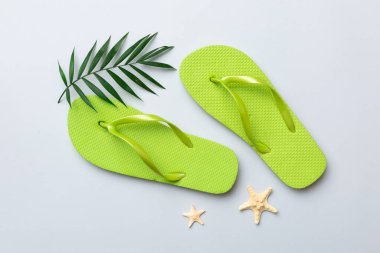 Renkli arka planda parmak arası terlikleri ve deniz kabuğu olan düz bir kompozisyon. Metin üstü görünümü için boşluk.