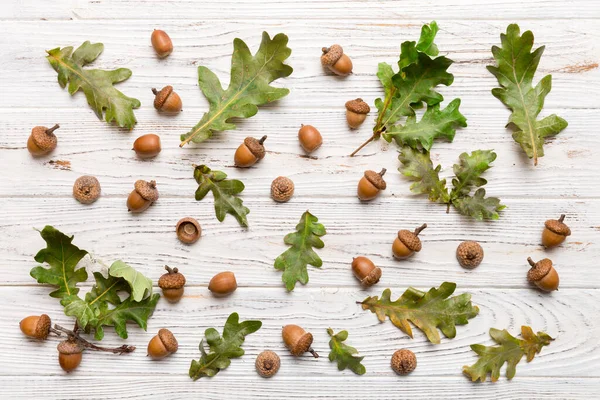 Branch Green Oak Tree Leaves Acorns Colored Background Close Top — Stock Photo, Image