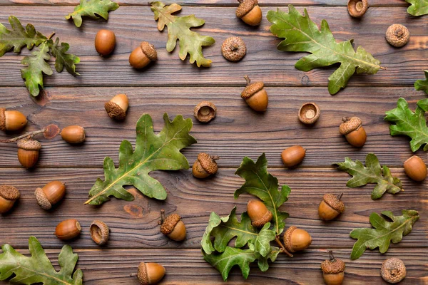 Filial Med Gröna Blad Och Ekollon Färgad Bakgrund Närbild Ovanifrån — Stockfoto