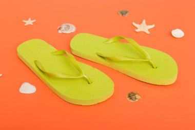 Plaj aksesuarları. Renkli arka planda parmak arası terlik ve denizyıldızı. Üst görünüm Kopyalama alanı ile modelle.