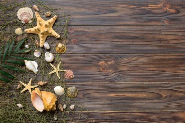Yaz zamanı konsepti düz kompozisyon ile güzel deniz yıldızları ve deniz kabukları renkli tablo üzerinde yatıyordu, metin için metin alanı ile üst görünüm.