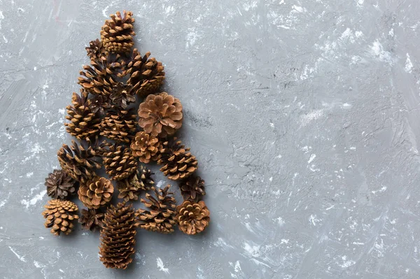 Renkli arka planda doğal konilerden yapılmış Noel ağacı, yukarıdan görünüyor. Kopya alanı ile yeni yıl konsepti.