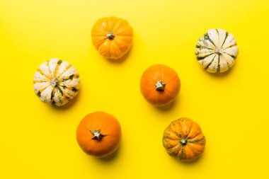 Renkli masa arkasında küçük turuncu balkabaklarının sonbahar kompozisyonu. Sonbahar, Cadılar Bayramı ve Şükran Günü konsepti. Sonbahar düz fotoğraf çekimi. Üst görünüm vith kopyalama alanı.