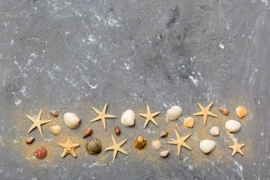 Yaz zamanı konsepti düz kompozisyon ile güzel deniz yıldızları ve deniz kabukları renkli tablo üzerinde yatıyordu, metin için metin alanı ile üst görünüm.