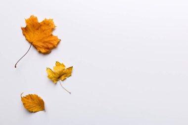 Sonbahar kompozisyonu. Masadaki kurumuş yapraklar ve diğer tasarım aksesuarlarından oluşan desen. Düz yatış, üst görünüm.