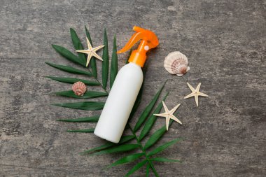 Güneş kremi şişesi. Güneş korumalı krem ve tropik yeşil yapraklı deniz kabukları olan bir şişe..
