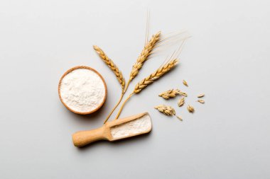 Tahta kasede buğday unu ve renkli arka planda buğday dikenleri. dünya buğday krizi.