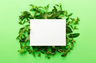 Boş kağıttan yapılmış çelenk çerçevesi, metin için boşluk ve renkli arkaplanda nane yaprakları. - Evet. Darphane deseni. Düz yatıyordu. Üst görünüm.