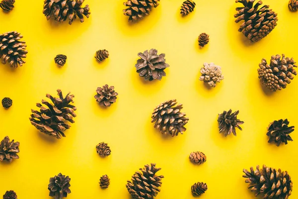 pine cones on colored table. natural holiday background with pinecones grouped together. Flat lay. Winter concept.