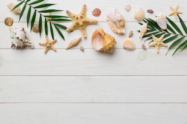 Yaz zamanı konsepti düz kompozisyon ile güzel deniz yıldızları ve deniz kabukları renkli tablo üzerinde yatıyordu, metin için metin alanı ile üst görünüm.