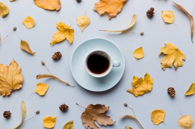 Renkli sonbahar kahve fincanı ve renkli yapraklarla bezenmiş düz bir kompozisyon. en üstteki görünüm.
