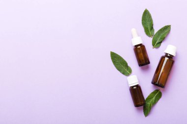 Cam Şişedeki Doğal Nane Özeli Yağı. Renkli arka planda nane özlü bitkisel kozmetik ürünleri.