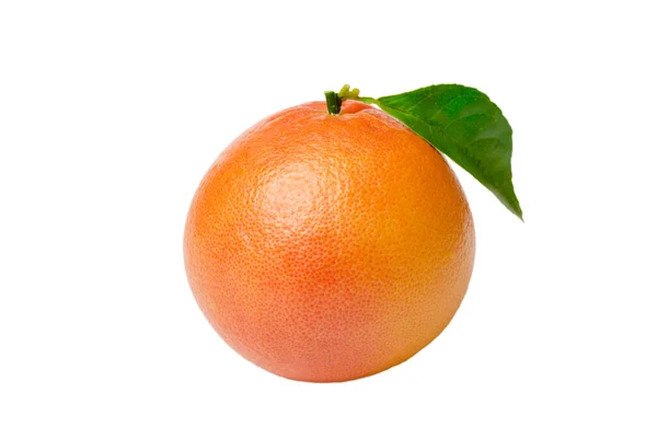 用白色背景色分离的柚子柑橘类水果 — 图库照片