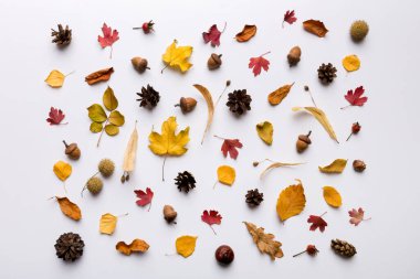 Sonbahar kompozisyonu. Masadaki kurumuş yapraklar ve diğer tasarım aksesuarlarından oluşan desen. Düz yatış, üst görünüm.