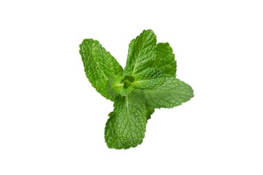 Beyaz arkaplanda izole edilmiş taze yeşil nane yaprakları, üst görünüm.