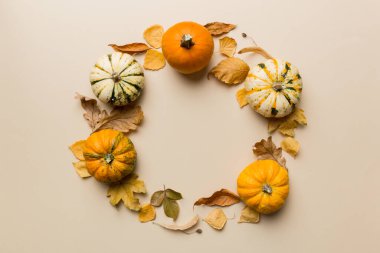 Sonbahar kompozisyonu: Renkli arka planda sonbahar yapraklı balkabakları. Kopyalama alanı olan üst görünüm.