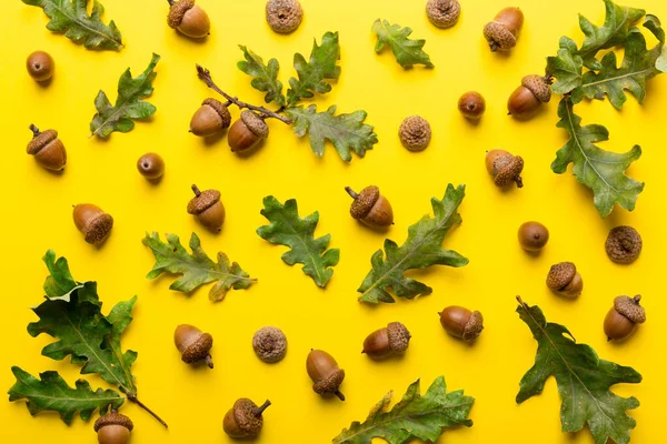 Tak Met Groene Eiken Bladeren Eikels Gekleurde Achtergrond Van Dichtbij — Stockfoto