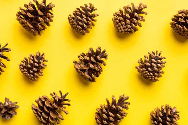 pine cones on colored table. natural holiday background with pinecones grouped together. Flat lay. Winter concept.
