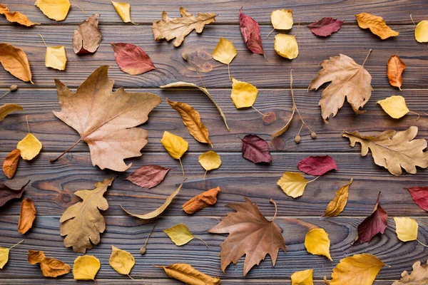 Autumn Composition Pattern Made Dried Leaves Other Design Accessories Table Stock Image