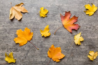 Sonbahar kompozisyonu. Masadaki kurumuş yapraklar ve diğer tasarım aksesuarlarından oluşan desen. Düz yatış, üst görünüm.
