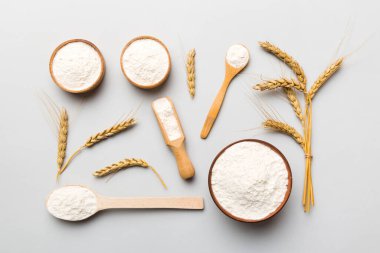 Tahta kasede buğday unu ve renkli arka planda buğday dikenleri. dünya buğday krizi.