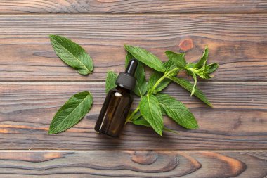 Cam Şişedeki Doğal Nane Özeli Yağı. Renkli arka planda nane özlü bitkisel kozmetik ürünleri.