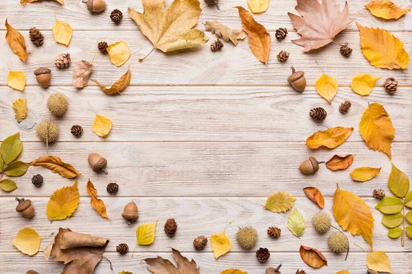 秋天的构图是用干叶 球果和橡果制成的 平躺在地上 俯瞰四周 — 图库照片