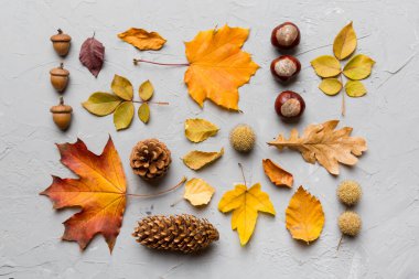 Sonbahar kompozisyonu. Masadaki kurumuş yapraklar ve diğer tasarım aksesuarlarından oluşan desen. Düz yatış, üst görünüm.
