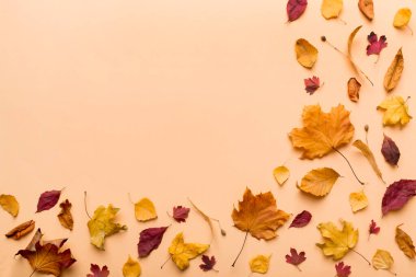 Sonbahar kompozisyonu. Masadaki kurumuş yapraklar ve diğer tasarım aksesuarlarından oluşan desen. Düz yatış, üst görünüm.